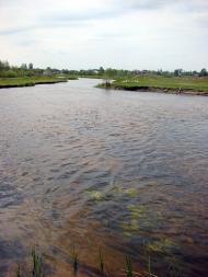 Угли з panoramio.com