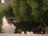 Литвиновичі з panoramio.com