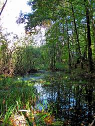 Ромейки з panoramio.com