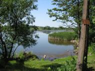 Довгалівське з panoramio.com