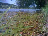 Салинці з panoramio.com