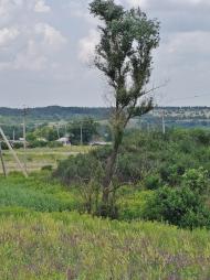 Півче з panoramio.com