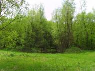 Стрижавка з panoramio.com