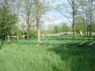 Рудка з panoramio.com