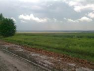 Підвисоке з panoramio.com