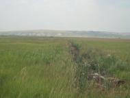 Новобіла з panoramio.com