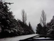 Нова Любомирка з panoramio.com