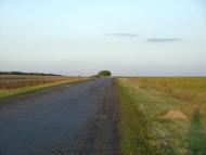 Цапівка з panoramio.com