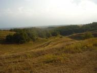 Вільховець з panoramio.com