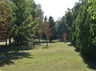 Зуївка з panoramio.com - Зуївка
