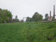 Корнич з panoramio.com