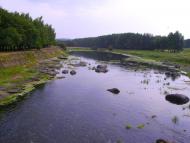 Дибинці з panoramio.com - Дыбинцы