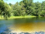 Сосонка з panoramio.com