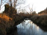 І СВІТАЄ, І СМЕРКАЄ