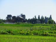 Кам'янече з panoramio.com