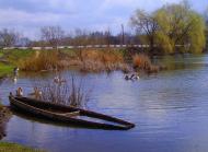 Шамраївка з panoramio.com