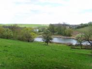 Стрижавка з panoramio.com