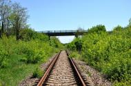 Новосімейкіне з panoramio.com
