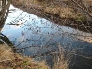 І СВІТАЄ, І СМЕРКАЄ