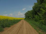 Побірка з panoramio.com