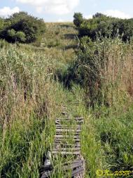 Новомиколаївка з panoramio.com