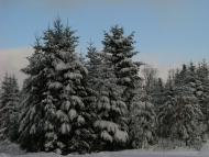 Яворівка з panoramio.com