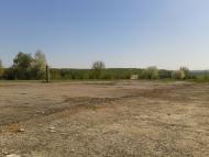 Вербка з panoramio.com