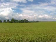 Підвисоке з panoramio.com