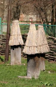 Прелесне з panoramio.com