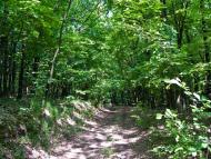 Іваньків з panoramio.com