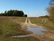 Льгів з panoramio.com