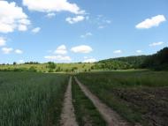 Нараїв з panoramio.com