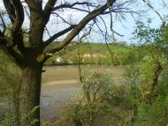 Улашівка з panoramio.com