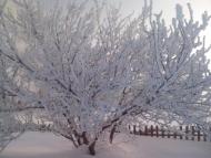 Камінь з panoramio.com