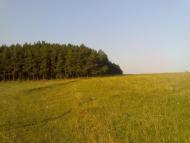 Михайлівка з panoramio.com