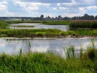 Степань з panoramio.com