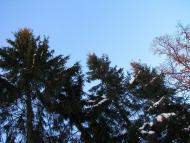 Волиця з panoramio.com