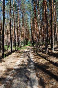 Норцівка з panoramio.com