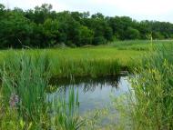 Приютівка з panoramio.com