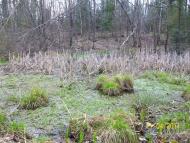 Яворівка з panoramio.com