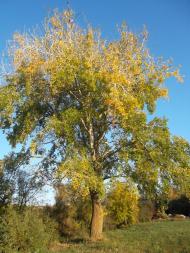 Захарівка з panoramio.com