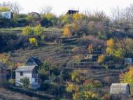 Мачухи з panoramio.com