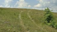 Русько-Орлівка з panoramio.com - Русско-Орловка