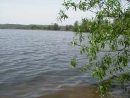 Мартинівка з panoramio.com