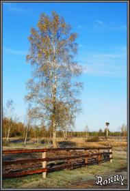 Артинськ з panoramio.com