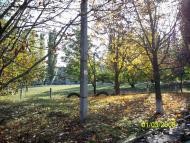 Салькове з panoramio.com