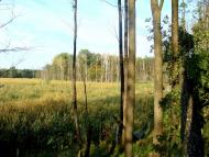 Оржів з panoramio.com