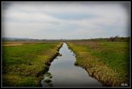 Підгірці з panoramio.com