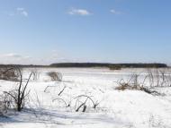 Оржиця з panoramio.com