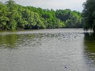 Олександро-Степанівка з panoramio.com